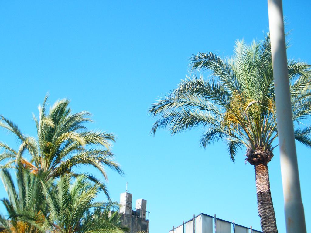 Appartamento Vacanze I Provenzali Bordighera Exterior photo
